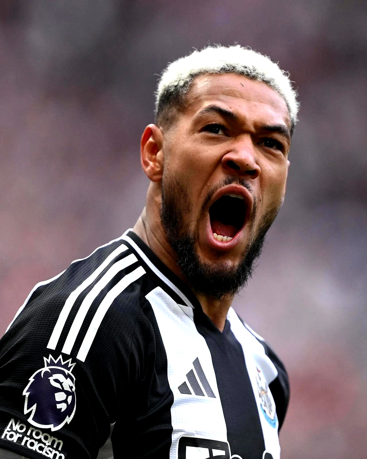 华体会免费注册包含德国杯倒计时，纽卡斯尔转会期扳平良机，细节引发关注，管理层满意，临场指挥获称赞的词条